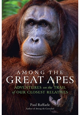 Among the great apes : adventures on the trail of our closest relatives