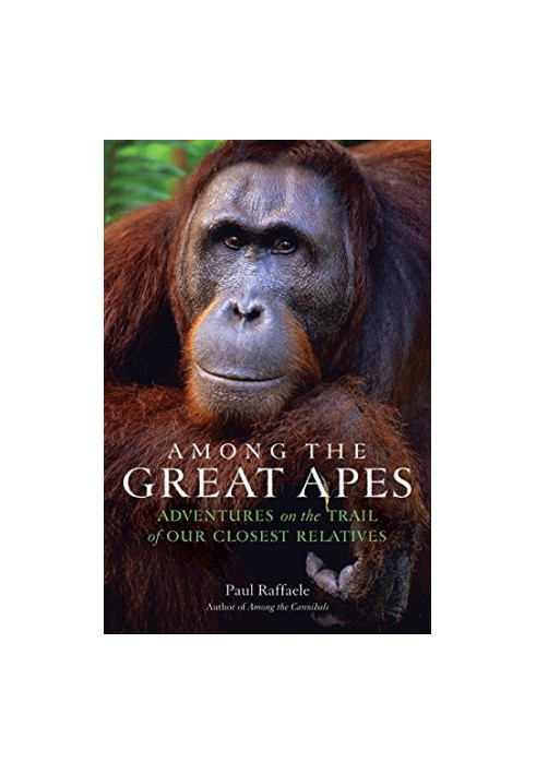 Among the great apes : adventures on the trail of our closest relatives