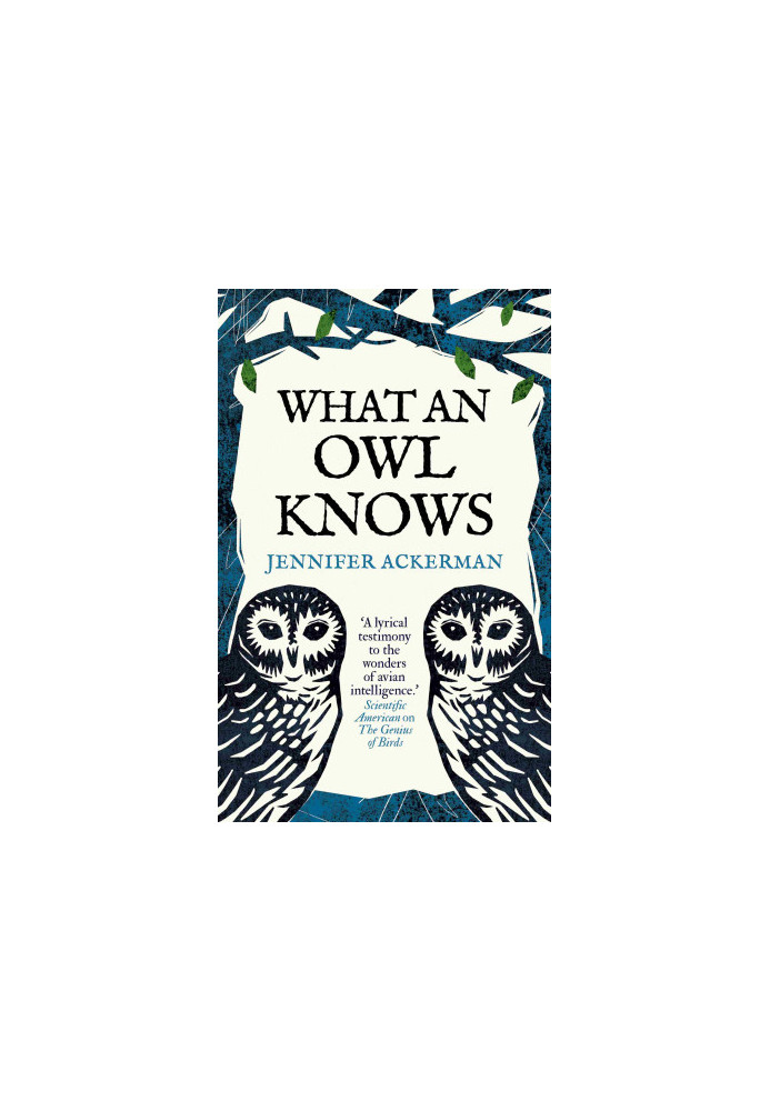 What an Owl Knows