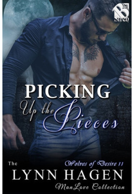 [Wolves of Desire 11] • Picking Up the Pieces