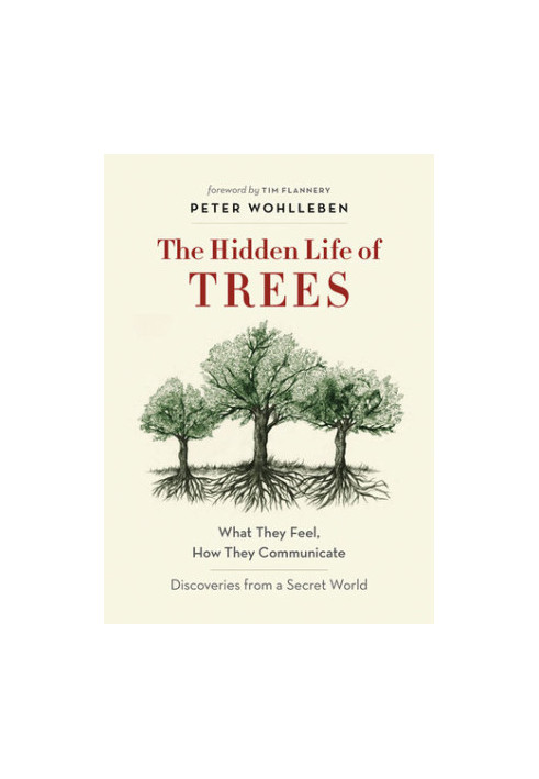 The Hidden Life of Trees: What They Feel, How They Communicate – Discoveries from a Secret World