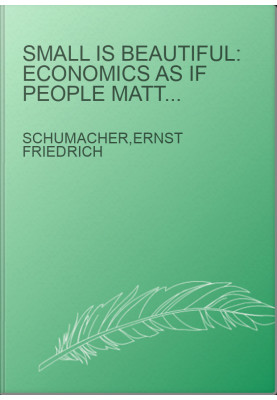 Small is beautiful: economics as if people mattered