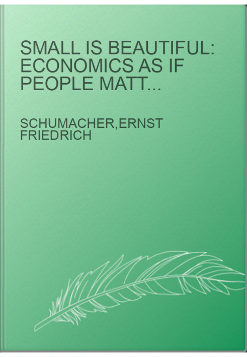 Small is beautiful: economics as if people mattered