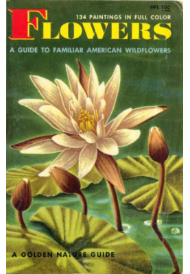 Flowers: A Guide to Familiar American Wildflowers (Golden Nature Guide)