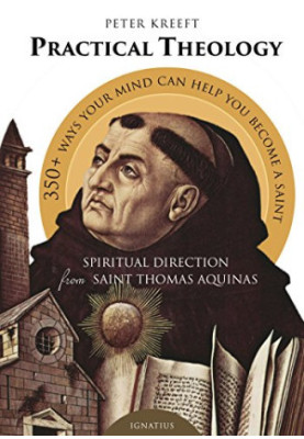 Practical theology : spiritual direction from St. Thomas Aquinas, 358 ways your mind can help you to become a saint from the 