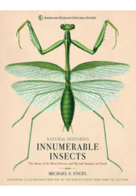 Innumerable Insects: The Story of the Most Diverse and Myriad Animals on Earth