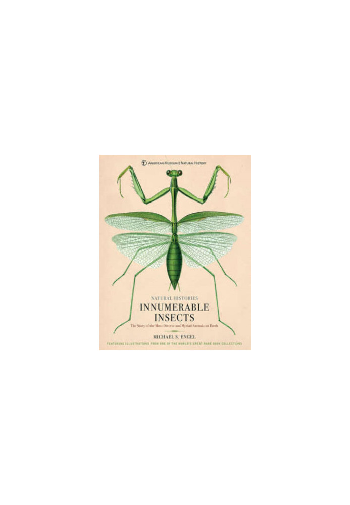 Innumerable Insects: The Story of the Most Diverse and Myriad Animals on Earth
