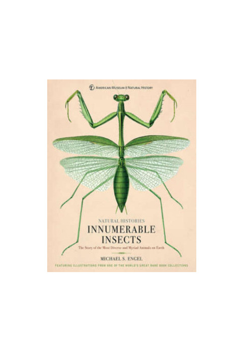 Innumerable Insects: The Story of the Most Diverse and Myriad Animals on Earth