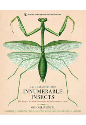 Innumerable Insects: The Story of the Most Diverse and Myriad Animals on Earth
