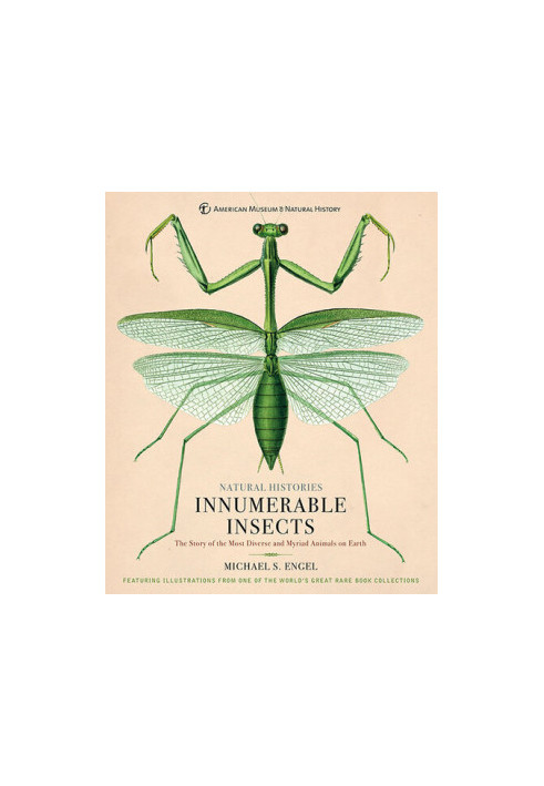 Innumerable Insects: The Story of the Most Diverse and Myriad Animals on Earth