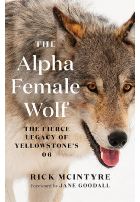 The Alpha Female Wolf