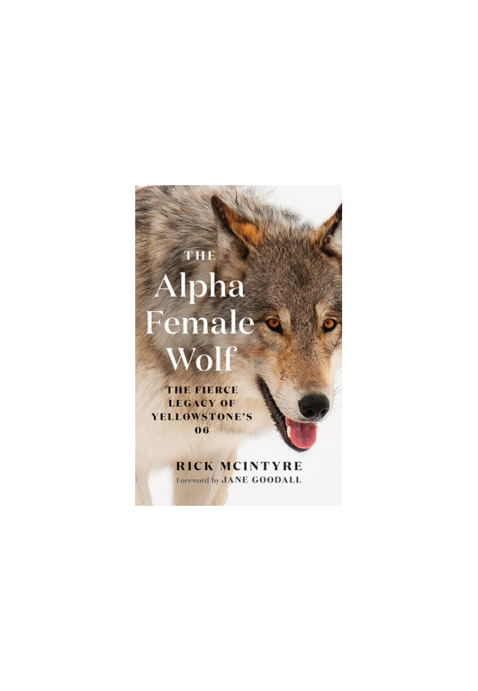 The Alpha Female Wolf