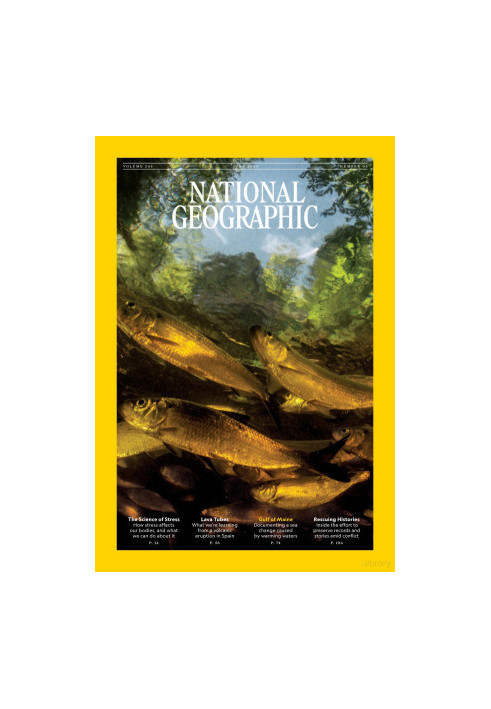 National Geographic Volume 245 Nr. 6