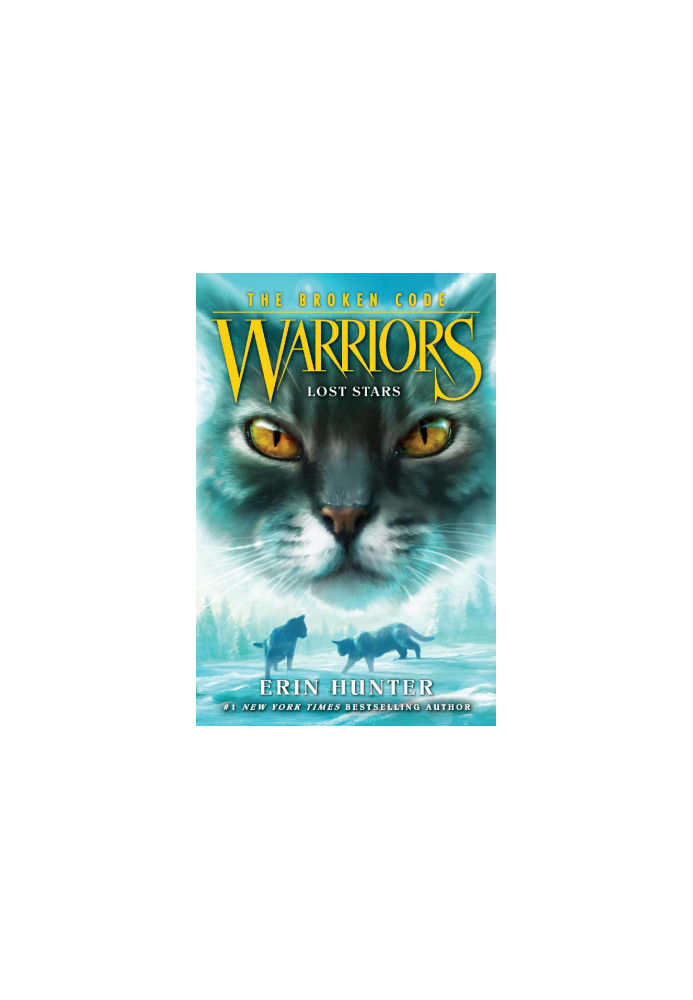Warriors: The Broken Code - Lost Stars