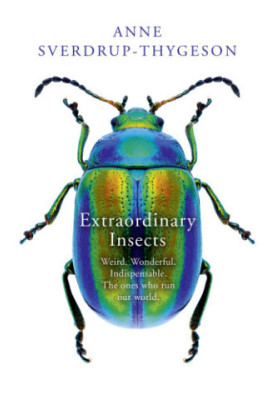 Extraordinary insects: weird, wonderful, indispensable, the ones who run our world