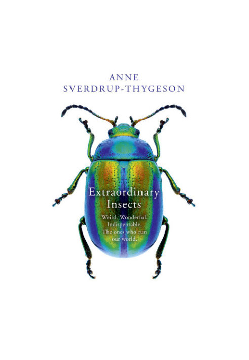 Extraordinary insects: weird, wonderful, indispensable, the ones who run our world
