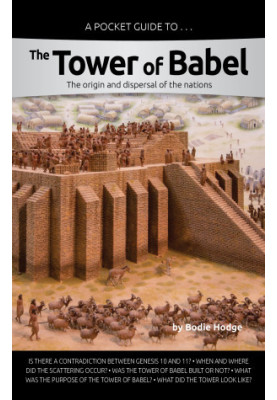 A Pocket Guide to the Tower of Babel