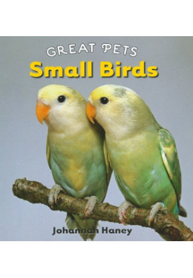Small Birds (Great Pets)