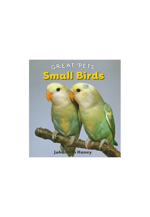 Small Birds (Great Pets)