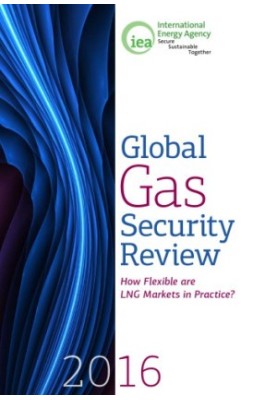 Global gas security review 2016 : how flexible are LNG markets in practice?