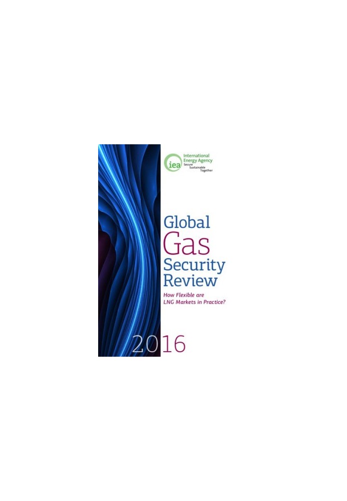 Global gas security review 2016 : how flexible are LNG markets in practice?