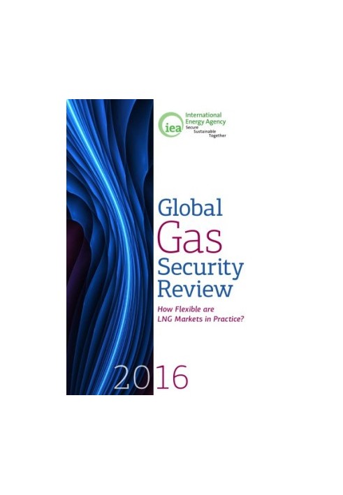 Global gas security review 2016 : how flexible are LNG markets in practice?