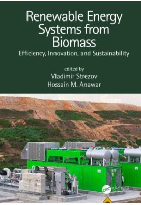 Renewable Energy Systems from Biomass: Efficiency, Innovation, and Sustainability