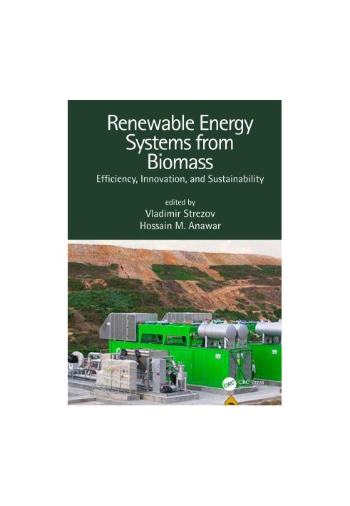 Renewable Energy Systems from Biomass: Efficiency, Innovation, and Sustainability