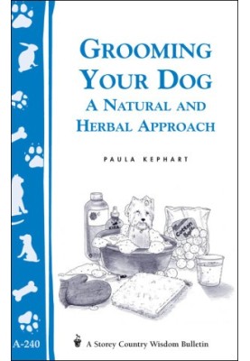 Grooming Your Dog