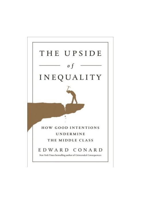 The Upside of Inequality