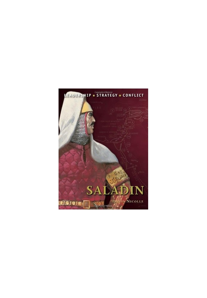 Saladin: The background, strategies, tactics and battlefield experiences of the greatest commanders of history (Command 12)