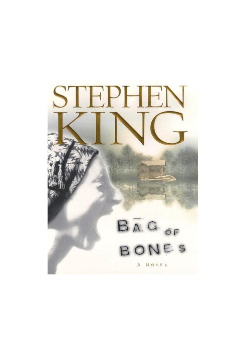 Bag of Bones: A Novel