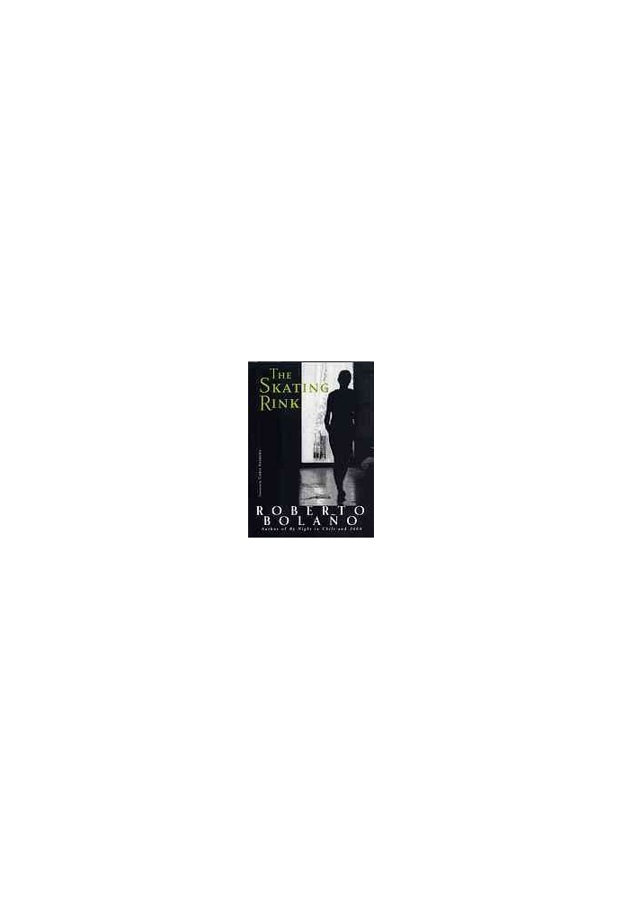 The skating rink - (a novel)