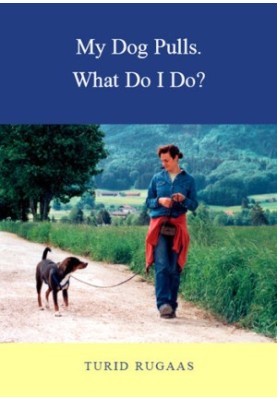 My Dog Pulls: What Do I Do?