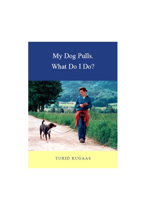 My Dog Pulls: What Do I Do?