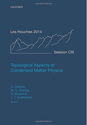 Topological Aspects of Condensed Matter Physics