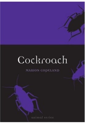 Cockroach