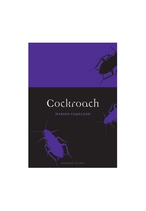 Cockroach