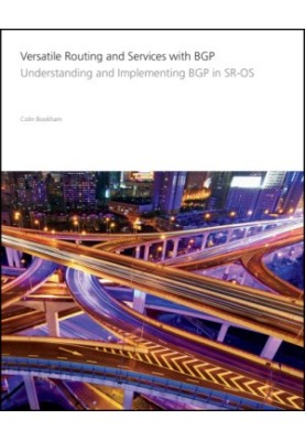 Versatile Routing and Services with BGP