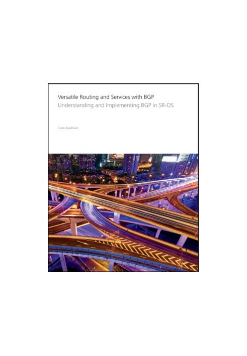 Versatile Routing and Services with BGP