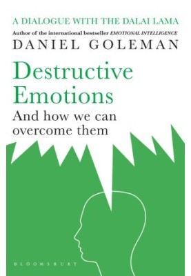 Destructive Emotions