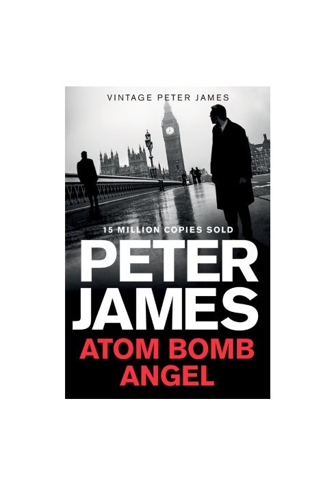 [Max Flynn 02] • Atom Bomb Angel