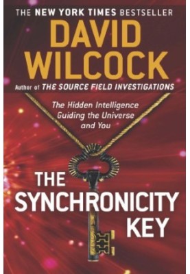 The Synchronicity Key: The Hidden Intelligence Guiding the Universe and You