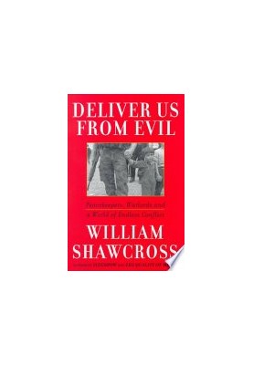 Deliver Us from Evil: Peacekeepers, Warlords and a World of Endless Conflict
