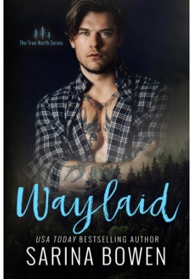 Waylaid