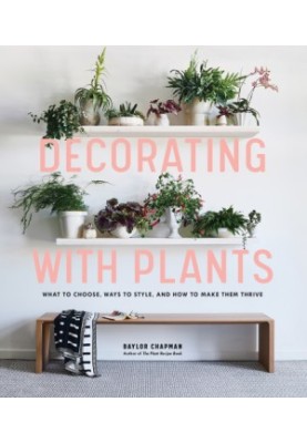 Decorating with plants: what to choose, ways to style, and how to make them thrive