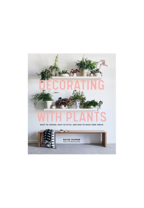 Decorating with plants: what to choose, ways to style, and how to make them thrive