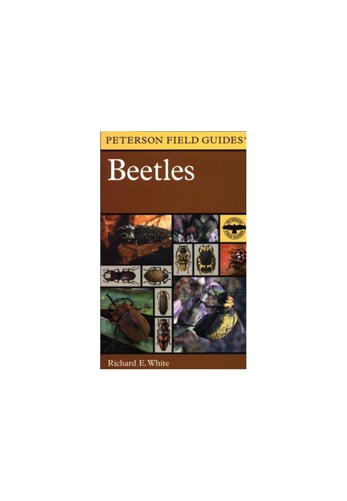 Beetles  - A Field Guide to the Beetles of North America