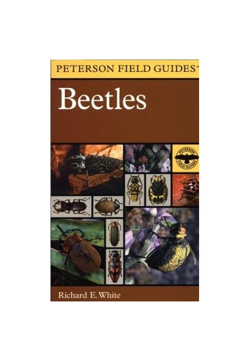 Beetles  - A Field Guide to the Beetles of North America