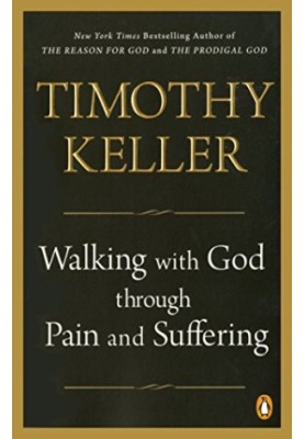 Walking with God through Pain and Suffering